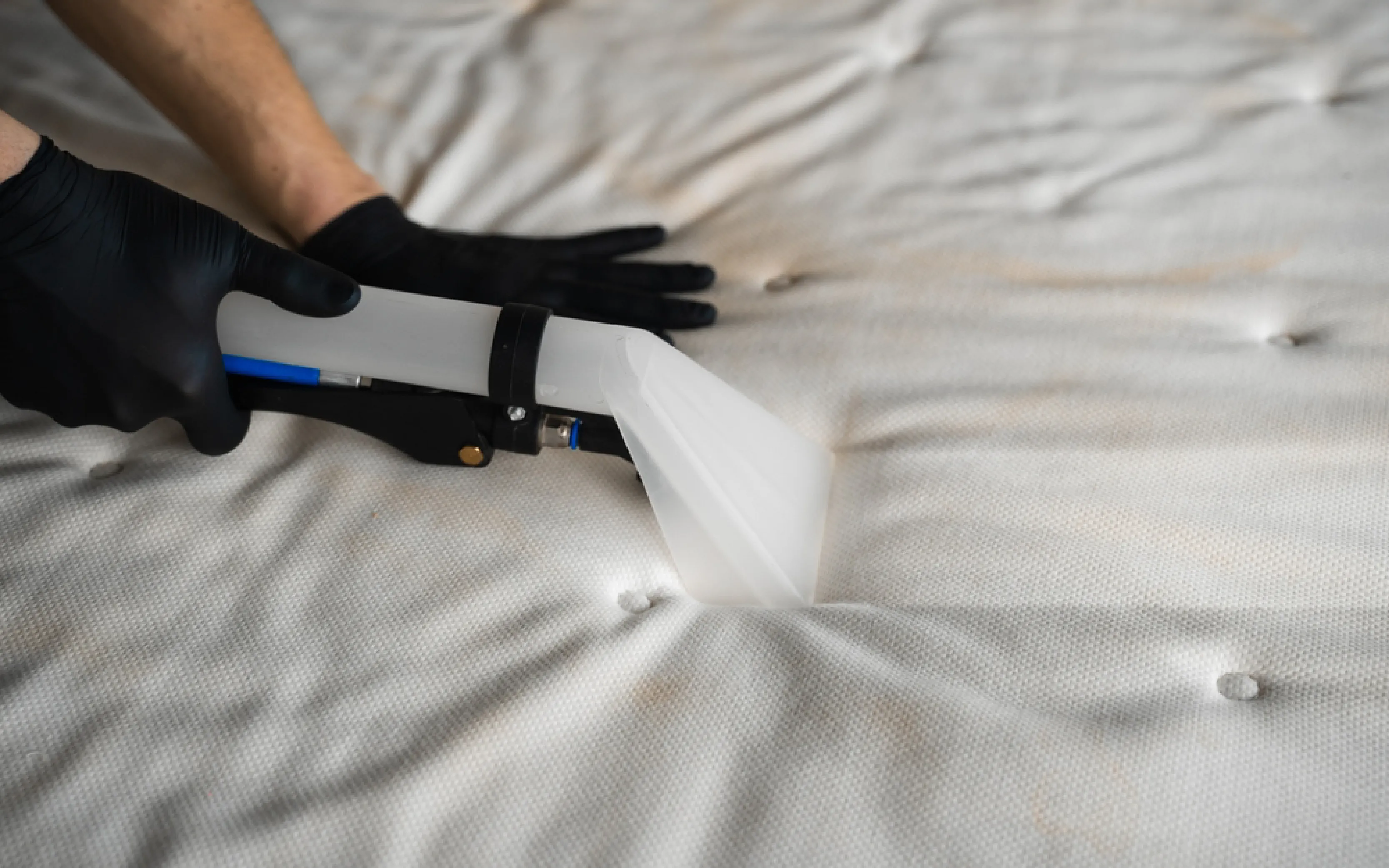 carpet cleaning in brooklyn, carpet cleaning in brooklyn, carpet cleaning brooklyn, carpet cleaners in brooklyn, carpet cleaners in brooklyn, commercial carpet cleaning, commercial carpet cleaning in brooklyn, brooklyn rug cleaners, rug cleaning services in brooklyn, same day carpet cleaning, same day rug cleaning